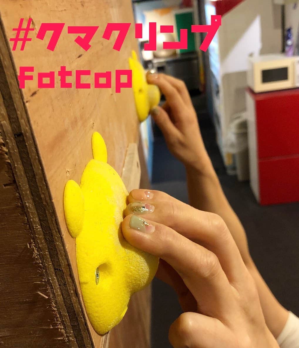 のインスタグラム：「・﻿ 【おうちトレーニング用 14mmクマクリンプ🐻 】﻿ ﻿ 全国のジムが休業してた時期に「保持感と見た目で皆を癒そう✨」ってコンセプトで爆誕したおうちトレーニング用ホールド、 クマクリンプ✨✨﻿ from  @fat_cap_industries .﻿ ﻿ アングラにはパープルとイエローがいて「ベストな傾斜とは…」と3度の引越しを経てようやく2匹とも安住の地を見つけたのでレビューします❤️w﻿ ﻿ -おすすめ傾斜-﻿ ○ベストは垂壁！﻿ ビーストメーカーがついてる場合、サイドやななめ下あたりがおすすめ設置位置🐻(ビーストメーカーの真下に付けると厚みがあり手首に当たる可能性があり)﻿ ○ガチ勢は100°〜120°あたり(※アングラはなぜか125°に設置)﻿ ﻿ -保持面幅-﻿ 鼻のところが14mm﻿ ﻿ -おすすめクライマー層-﻿ ビギナー〜上級者まで💡﻿ ○ビギナーの場合、初めてのオープン持ちのぶら下がりトレーニングにぴったりの保持感です。﻿ 4本保持も良いですが、3本のオープン持ちが1番やりやすい✨肩が上がったり抜けないように保持してみてください🔥﻿ ○ 傾斜に付ける場合、肩の負担を減らすため保持する時は肩が上がらないよう脇を締め、鼻をピンチして保持します。120°辺りは死ぬ気で保持しないと持てません。﻿ ﻿ -おすすめポイント-﻿ ○存在がかわいい❤️❤️❤️﻿ 見た目のインパクトもあり、ジムに付けてるともれなく通りかかる皆にぶら下がられ、「かわいいなぁ」と褒められてますw﻿ そこにいるだけで癒されます🌺﻿ ○14mmというラブリーな保持感ゆえ、復帰したての方や悪い保持初心者のトレーニングに非常に使いやすい💡﻿ ○お値段も1セット3千円くらいとラブリー🕊💗﻿ ﻿ @fat_cap_industries は、どこか愛嬌があるデザインで発想や見た目がいつもイカしてる日本のホールドメーカー🙌🏻セッター陣からの評価も高く、クマ以外では"ポップコーンシリーズ"ホールドが有名です👏🏻﻿ ←アカウントフォローもぜひお願いします✨✨﻿ ﻿ #climbingholds #traninghold﻿ #クマクリンプ #bearclimp ﻿ #climbing #bouldering  #traning﻿ #fatcap #ボルダリング　#クライミング　#おうちトレーニング #懸垂　#おうちトレーニングホールド #japaneseclimbingholdmaker」
