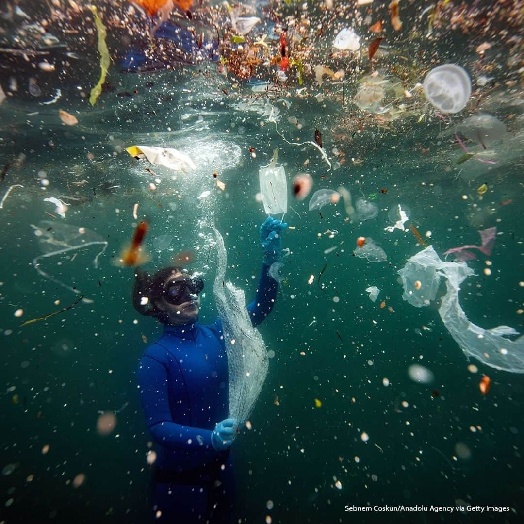 ABC Newsさんのインスタグラム写真 - (ABC NewsInstagram)「Turkish world record-holding free-diver Sahika Encumen dives off Turkey's coast to raise awareness of plastic pollution. #ocean #plastic #pollution」7月3日 20時00分 - abcnews