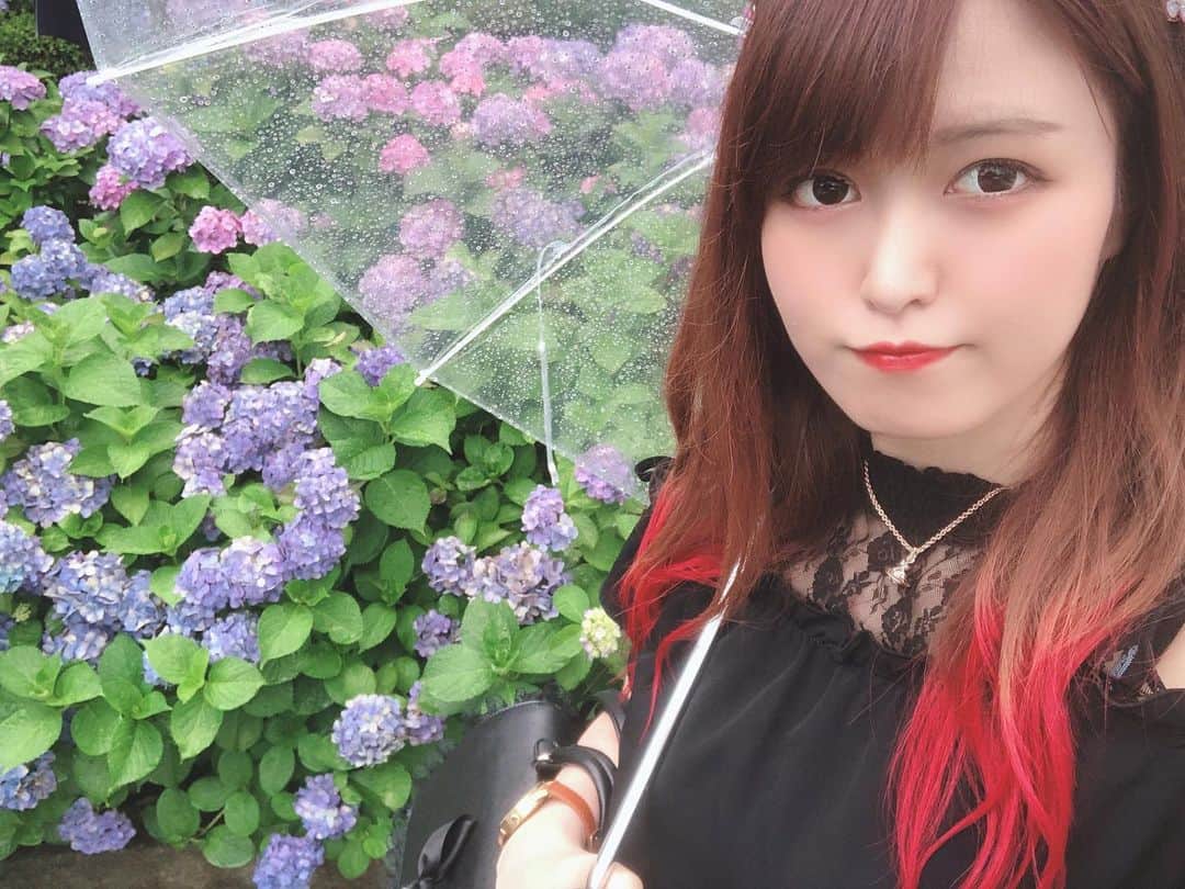 入江綾乃のインスタグラム：「. . . . あやのも紫陽花上げていこうかな🥳 . . . #あじさい #紫陽花 #アジサイ #白山 #神社 #声優 #俳優 #アクトレスガールズ #カメラ #撮影モデル #被写体 #ファインダー越しの私の世界 #ファッション #お洒落さんと繋がりたい #写真撮ってる人と繋がりたい #love #instagood #photooftheday #fashion #beauty #happy #cute #selfie #follow #camera #photography #photo #prowrestling #instalike」
