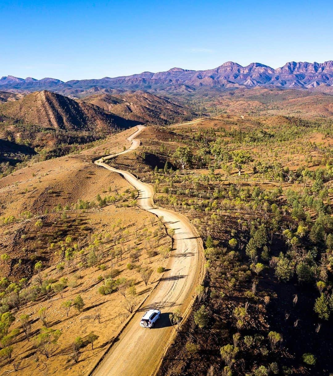 Australiaさんのインスタグラム写真 - (AustraliaInstagram)「Talk about #roadtrip material! 😍 This remarkable route leads to #RazorbackRidge, a breathtaking lookout in @southaustralia’s @flindersrangesandoutback region captured here by @__serio__. If you’re a keen bushwalker, winter’s mild daytime temperatures make for optimal hiking weather in this part of #SouthAustralia. It’s a five-hour drive to the Ikara-Flinders Ranges National Park from #Adelaide, so pack the car and spend a few nights out here to make the most of this extraordinary part of the South Australian #outback. #seeaustralia #seesouthaustralia #flindersranges」7月3日 20時00分 - australia