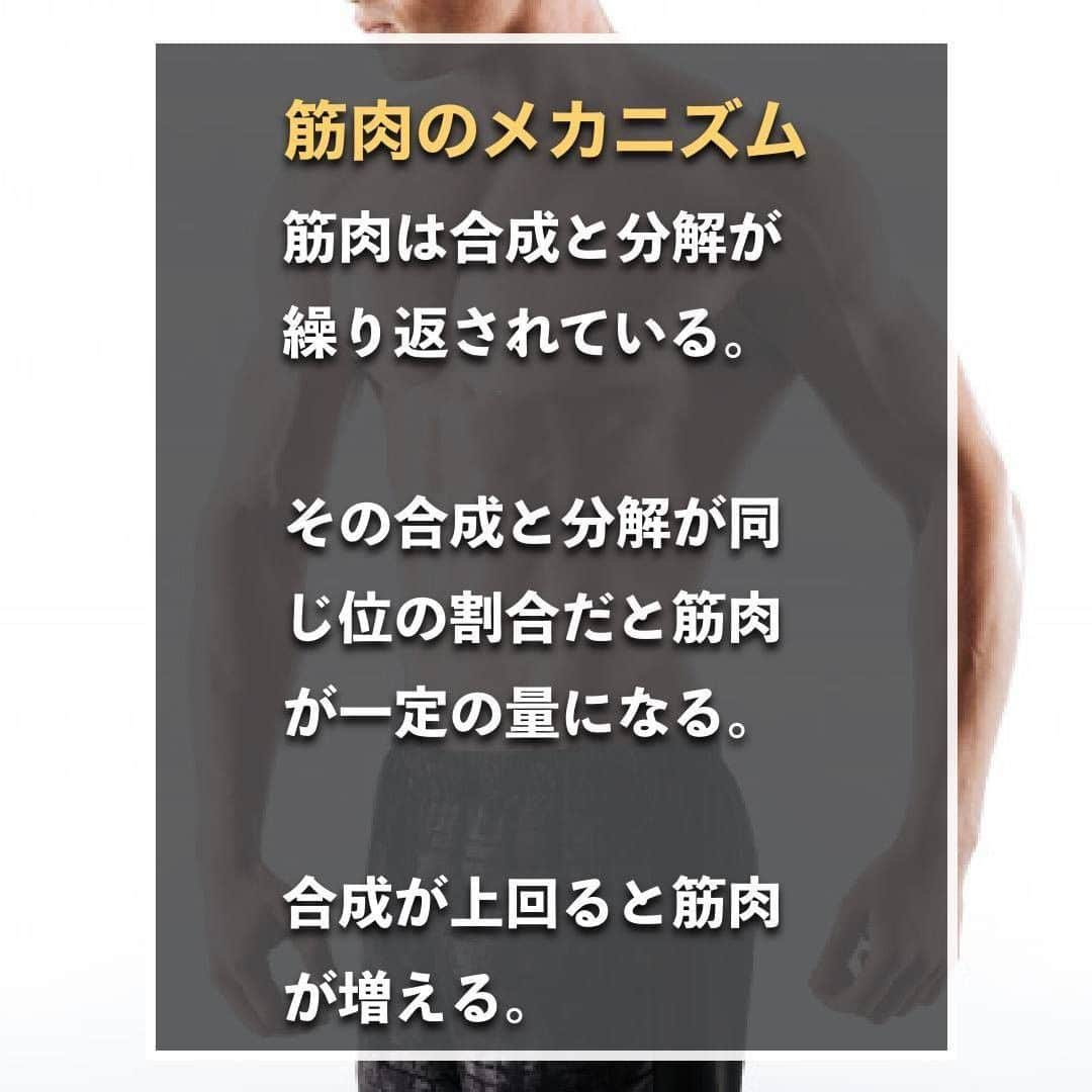 山本義徳さんのインスタグラム写真 - (山本義徳Instagram)「【プロテインは毎日飲まないとヤバい?!】  今回はプロテインを摂らないと筋肉が減ってしまうのか という問題について解説いたします。  ぜひ参考にしていただけたらと思います💪  いよいよ明日、VALXプロテインチョコ風味 発売いたします。 楽しみにお待ちいただけたらと思います🍫  #プロテイン #筋トレ #筋肉 #サプリメント #エクササイズ #バルクアップ #筋トレ初心者 #筋トレ男子 #ボディビル #筋肉女子 #肉体改造 #ダイエット方法 #ダイエット女子 #筋トレ好きと繋がりたい #筋トレ好き #トレーニング好きと繋がりたい #トレーニング男子 #トレーニー女子と繋がりたい #筋肉男子 #筋肉つけたい #プロテインダイエット #プロテイン女子 #トレーニング大好き #トレーニング初心者 #筋肉トレーニング #トレーニング仲間 #山本義徳 #筋肉太り #筋肉作り #サプリメント生活」7月3日 20時00分 - valx_kintoredaigaku