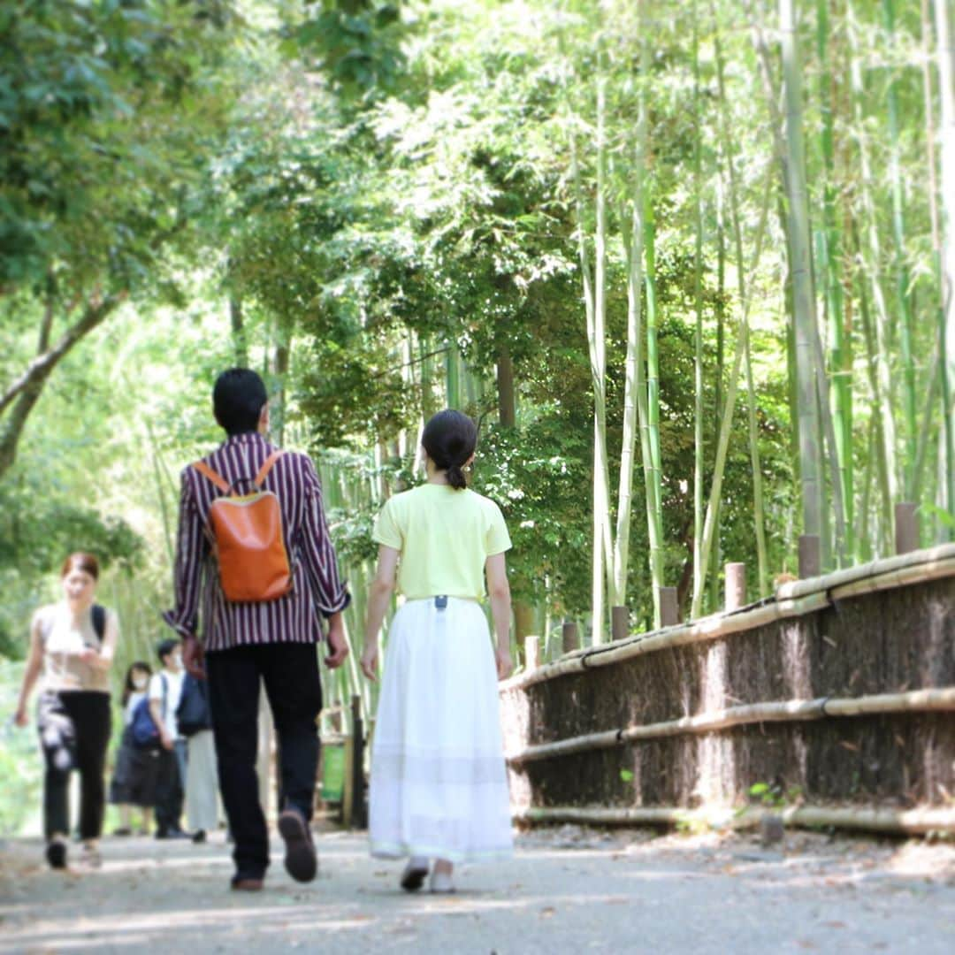 テレビ大阪「おとな旅あるき旅」さんのインスタグラム写真 - (テレビ大阪「おとな旅あるき旅」Instagram)「いよいよ！明日は、三田村さんが旅に復帰の回です！ 約3ヶ月ぶりの旅とあって、三田村さんもこの開放感！  夏の京都、梅雨の晴れ間の 嵐山 嵯峨野ぶらり散歩です。まずは近場へ…まだまだ観光されている方の数もまばらなので、歩きやすい！爽やかに竹林の小径や青もみじの古刹などをめぐります！お楽しみに！  明日 7/4(土)18:30〜  #おとな旅あるき旅#テレビ大阪#三田村邦彦#斉藤雪乃#京都#嵐山#嵯峨野#梅小路京都西駅#青もみじ#竹林の小径#二尊院#大覚寺」7月3日 19時58分 - tvo.otonatabi