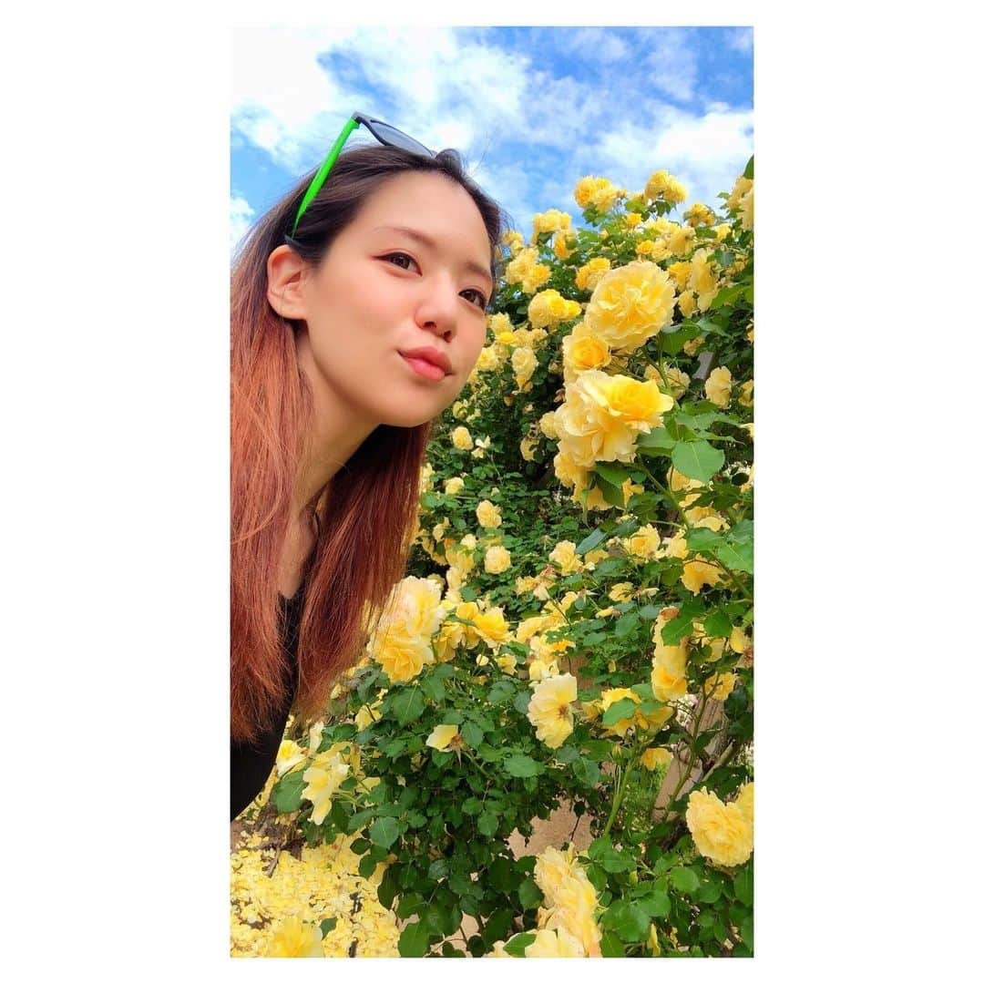 高田汐美さんのインスタグラム写真 - (高田汐美Instagram)「お花と濃厚接触してたら金色の毛虫くっついてきたよ涙 来年行くときは気をつけてね スーパーかわいかった💐✨　6月中旬に行ったよ😘 #ハイジの村　#バラのアーチ」7月3日 20時02分 - shiominniee