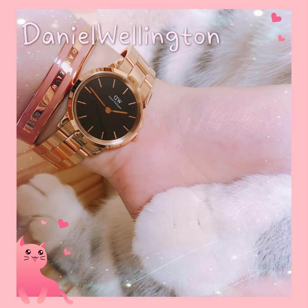 HANAさんのインスタグラム写真 - (HANAInstagram)「今日とハナちゃんは🐱 ICONIC LINK ローズゴールドの金具＋ブラックの文字盤32mm⌚️ & CLASSIC SLIM BRACELET に ——— https://www.danielwellington.com/jp/公式ウェブショップまでダニエルウェリントンと一緒に、夏の気分を先取りしましょう！ ——— ★15％OFFクーポンコード：kitt（2020/ 8/25 まで有効、DW公式直営店舗とWEBショップにて使用可能） ——— ★腕時計とアクセサリーまたはストラップの購入で20%OFF（５月の最新作も対象） ——— ★15%OFFクーポンコードも併用可能！ ——— ★ダニエルウェリントンLINE公式アカウントも6月からスタートしました！LINEアプリ内の公式アカウントからダニエルウエリントンで検索して頂き、お友だち登録してくださいね♡ ——— @DanielWellington  #ダニエルウェリントン #dwサマー #dwサマーキャンペーン #danielwellington #腕時計 #自分へのご褒美に #大切な人への贈り物 #時計 #夏を満喫 #大切な人と #好きな人と #一緒に過ごす」7月3日 20時04分 - hana__kitty