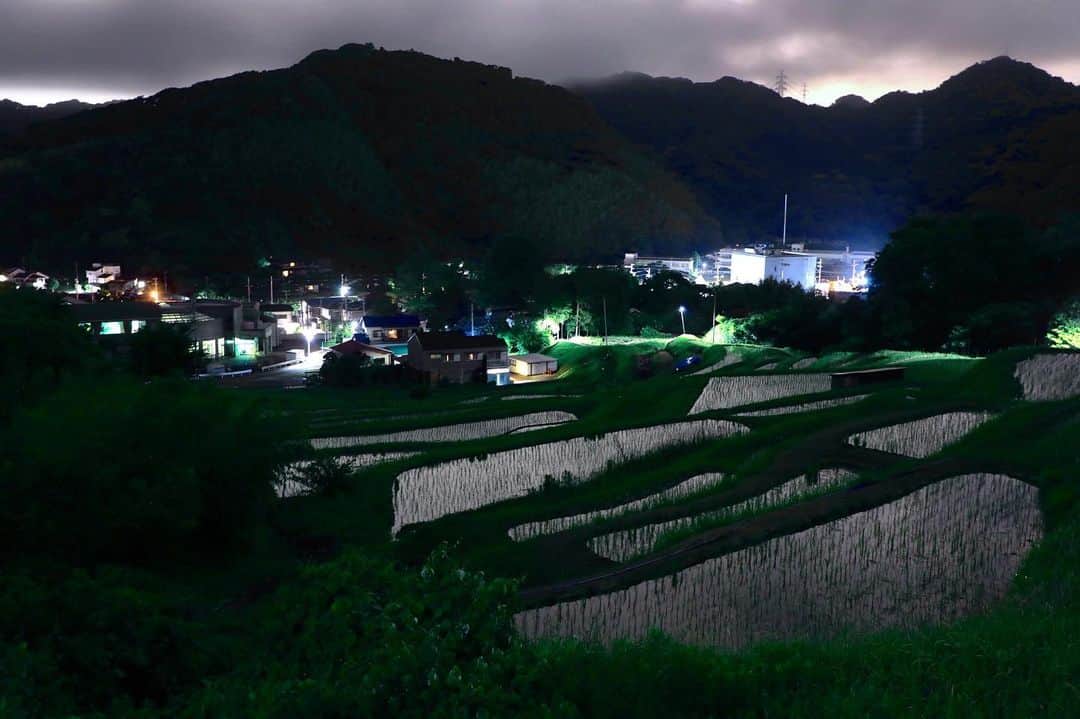 葉山町のグルメインスタ