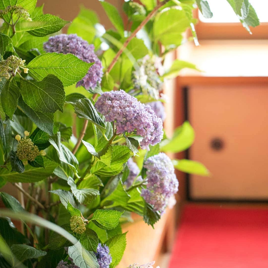 菊水楼公式アカウントのインスタグラム