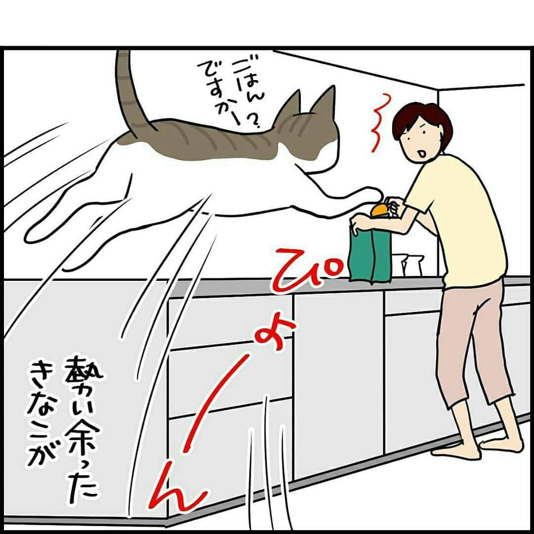 猫壱（ねこいち•ネコイチ）さんのインスタグラム写真 - (猫壱（ねこいち•ネコイチ）Instagram)「【#猫マンガ 】 ▫ 待ちきれにゃい😺 ▫ ▫ #先走りる気持ち😺❤ #食いしん坊猫あるある ▫ ▫ :::::::::#猫壱 ::::::: 猫壱は猫と人との暮らしの向上を目指して猫グッズの開発に取り組んでいます♪ ▫ ナノちゃん&きなこちゃんが使っているのは#ハッピーダイニング #脚付き フードボウル 猫柄 でした✨ 気になる方は @necoichicojp をチェックしてみてくださいね！ ▫ ▫ 【Special thank-you @86palpal 💕💕💕💕】」7月3日 20時55分 - necoichicojp