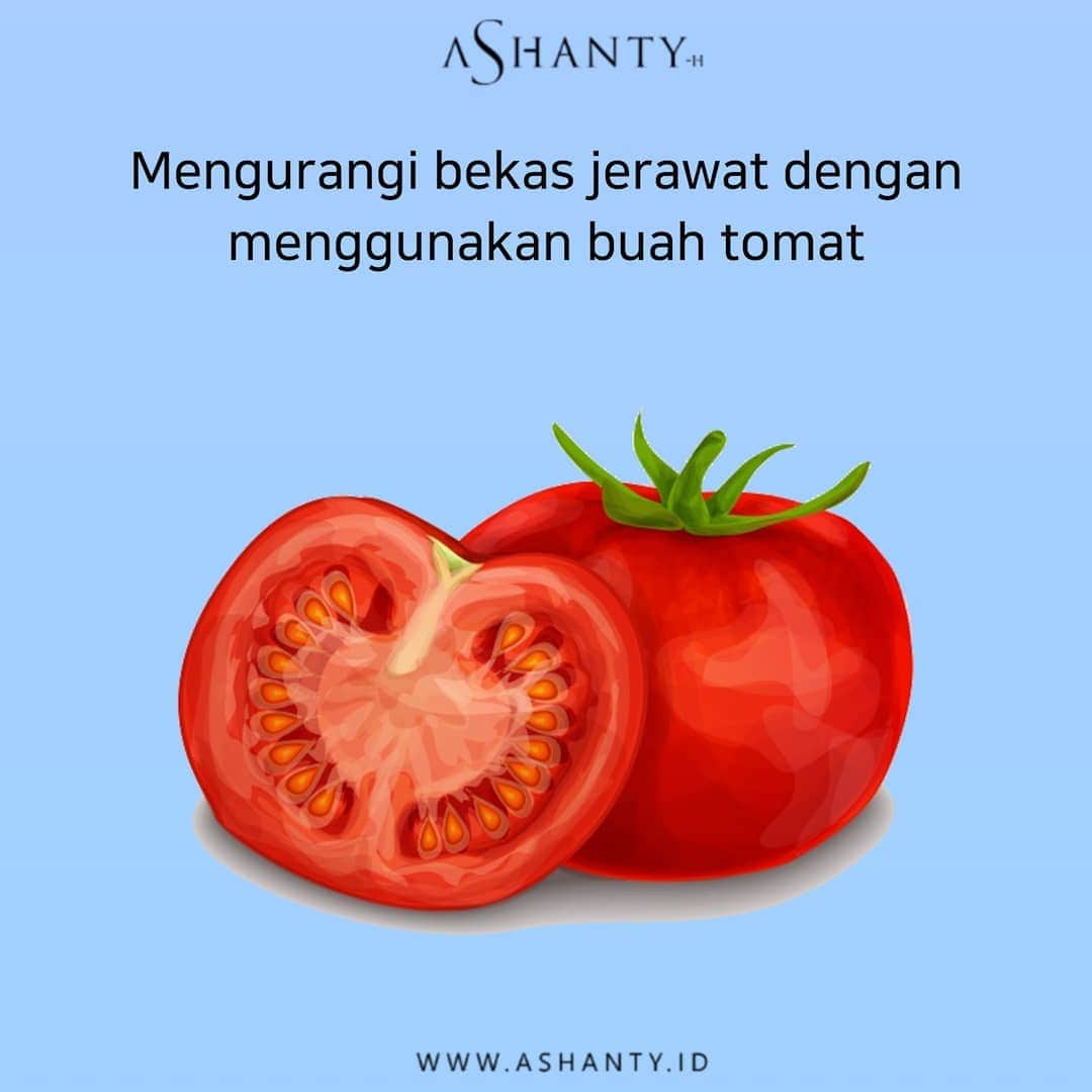 ASHANTY BEAUTY CREAM OFFICIALのインスタグラム：「Tomat sangat cocok untuk menghilangkan bekas jerawat, hal ini dikarenakan kandungan tomat seperti antioksidan, solanin, saponin, vitamin C, dan likopen. Kamu dapat menggunakan tomat sebagai langkah awal dalam menghilangkan bekas jerawat. Cara penggunaannya cukup mudah.   Berikut cara penggunaannya: 1. Iris tomat tipis-tipis. 2. tempelkan pada seluruh wajah secara merata. 3. Diamkan selama 10-15 menit, lalu bilas bersih dengan air.  Untuk hasil yang efektif kamu bisa menggunakannya secara rutin, 2-3 kali dalam seminggu.  Sumber : https://bit.ly/2ApU9jJ」