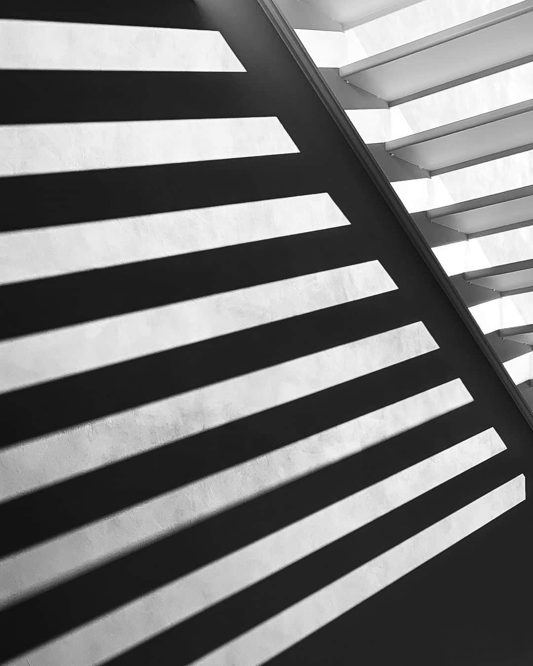 のインスタグラム：「. shadow .」