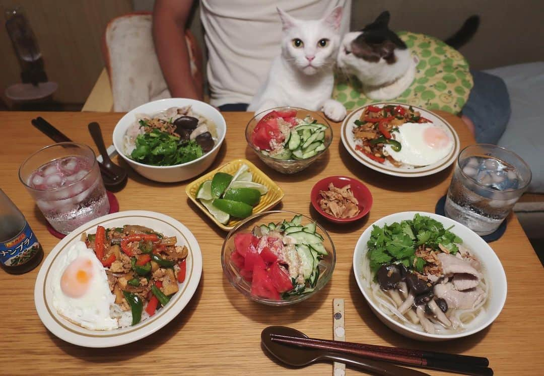 八、おこめさんのインスタグラム写真 - (八、おこめInstagram)「いつかのエキゾチックご飯☆ ハッチャンのキッスは、ほっぺに突き刺さるスタイルw ・フォー 普段、鶏肉が多いけど豚肉でしたらめっちゃ美味しい〜♩大好きな霜降りヒラタケも合う〜❤︎ フライドオニオンとニンニクチップもトッピングで更においひ〜♩ ・ガパオライス風 筍入れて正解◎食感がイイ〜♩ #八おこめ #ねこ部 #cat #ねこ #猫 #ネコ #八おこめ食べ物 #アジアご飯 #ガパオライス #フォー」7月3日 22時22分 - naomiuno