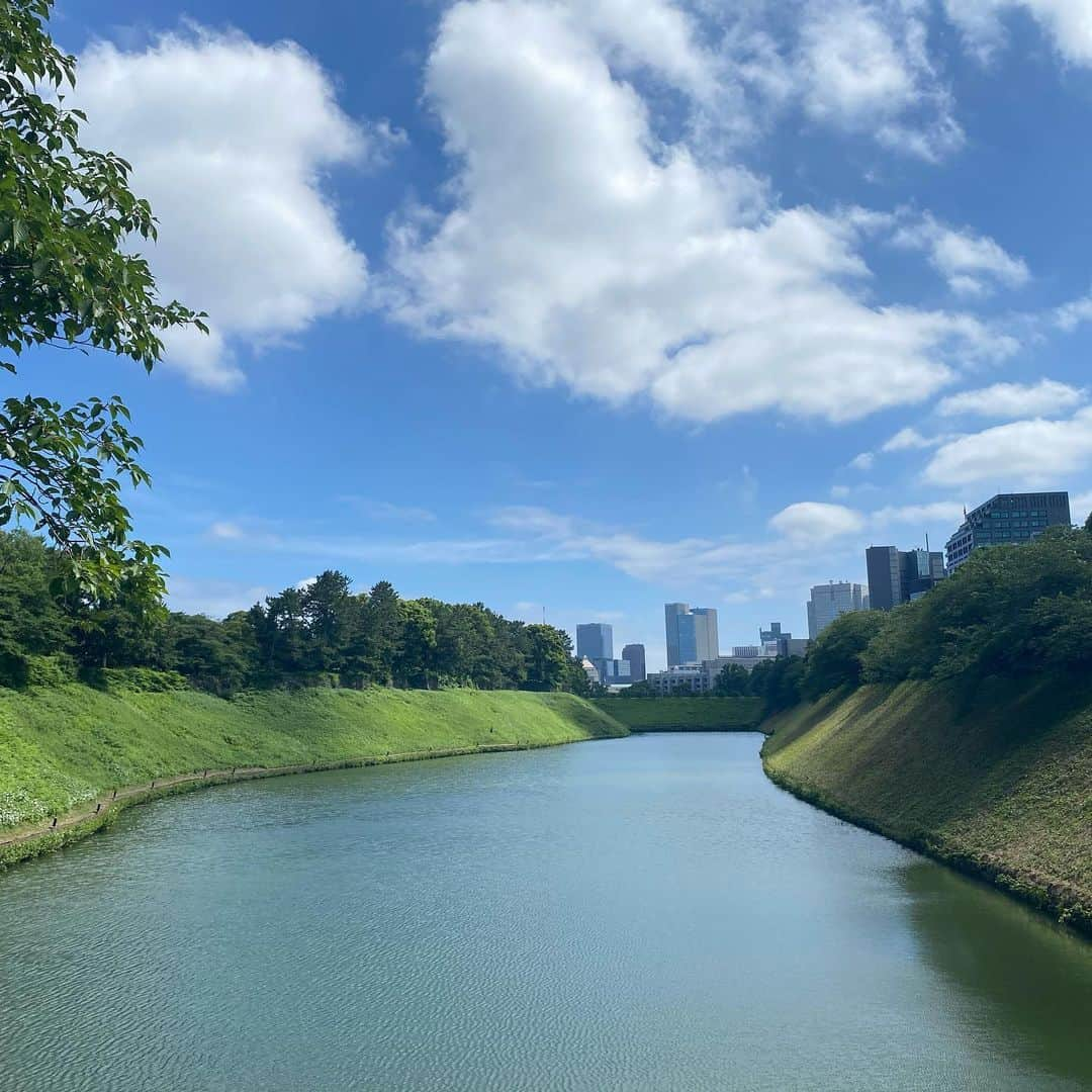 皇居ランナビのインスタグラム：「. . 🌿千鳥ヶ淵交差点の手前、代官町通りの樹々から抜けて見える景色がとても好きです。  撮影したのは、6月の梅雨の中休みですが、歩いていたらバッタを発見！  皇居は自然がたくさんある所なんだなと改めて感じました。  ランナーのみなさんもたまには立ち止まって、 ぜひ観察してみてくださいね❕  新たな発見があるかもしれません🌱🔍  バッタの写真は3枚目にありますので、苦手な人はご注意ください🙇‍♂️  #加工なし #皇居ラン #皇居ランナビ #皇居ランニング」