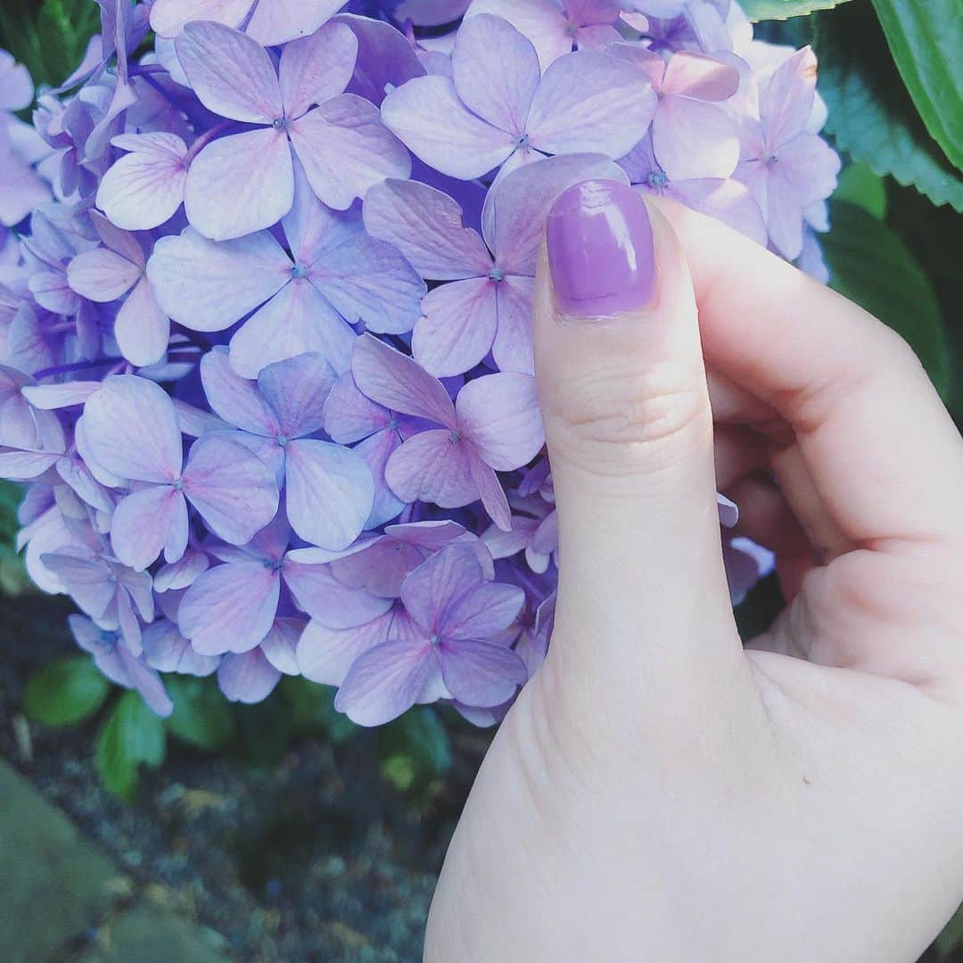 咲村良子のインスタグラム：「同じ色🌈 ♡紫陽花ネイル♡ #セルフネイル #あじさいネイル #6月ネイル #セルフネイル初心者 #きれいになりたい #japan_of_insta #june2020 #flowers #selfnail #perple #cute #nail」