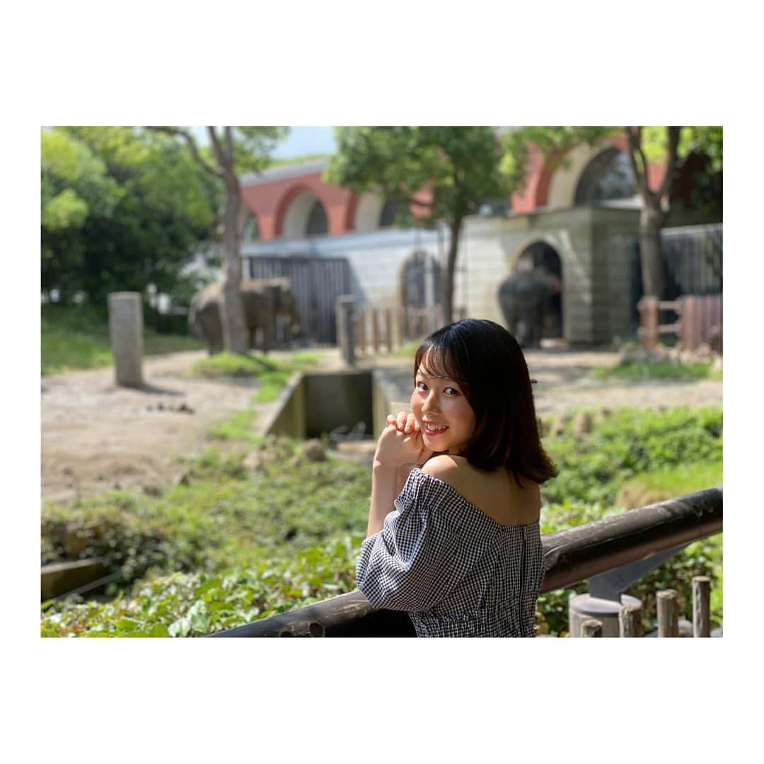 のインスタグラム：「自粛明けに行った動物園🐘初めて行ったけれど広くて良い運動になった〜！ #ズーラシア #よこはま動物園ズーラシア #象 #zoo #snidel #ワンピース好き #オフショル」