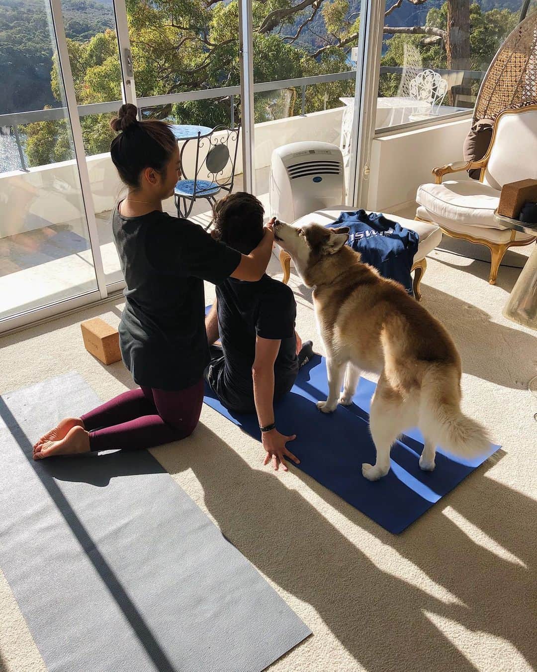 ブレンダン・ケリーのインスタグラム：「Sat morning yoga with my 2 teachers🐶 🧘‍♀️ #nswis #owia #rehab #isa #nswisa #yoga ☮️」
