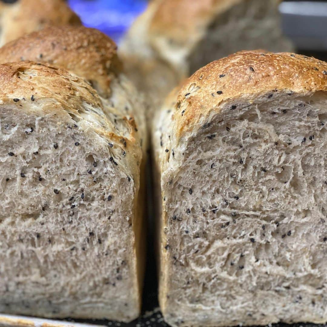 魔女菅原のグルメインスタ