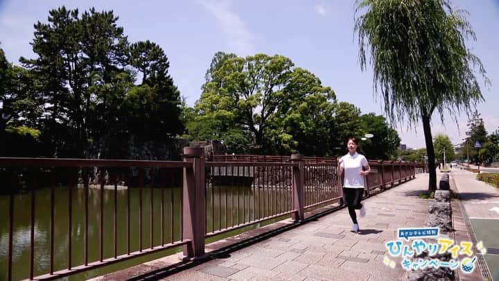 静岡朝日テレビ５chのインスタグラム