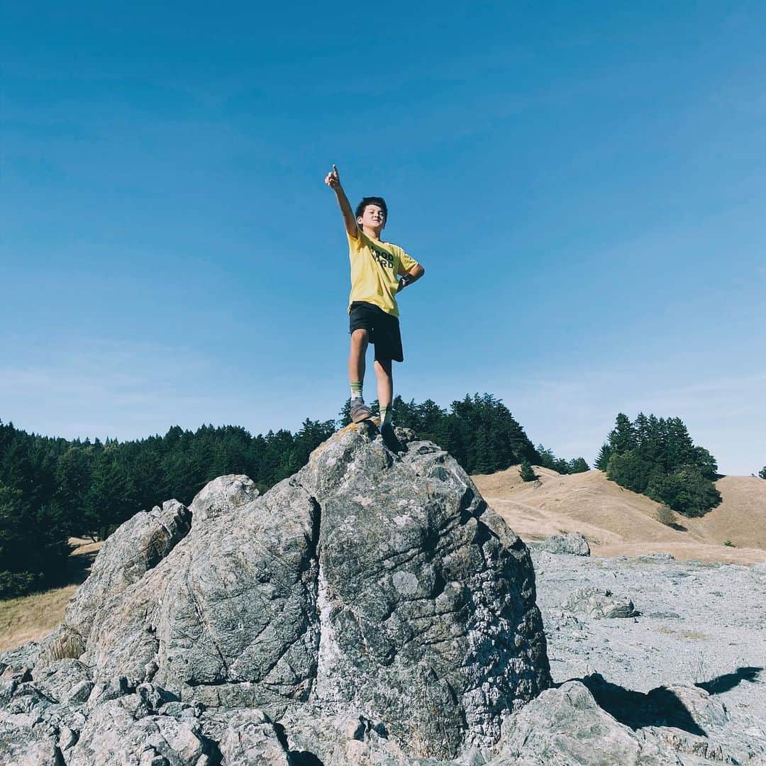 Daniel Waldronのインスタグラム：「Way Finder」