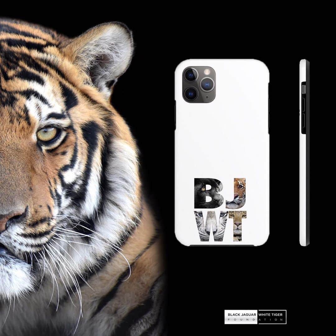 Black Jaguar-White Tiger さんのインスタグラム写真 - (Black Jaguar-White Tiger Instagram)「Beautiful new products are available on our store :) www.BJWTshop.com」7月4日 2時13分 - blackjaguarwhitetiger