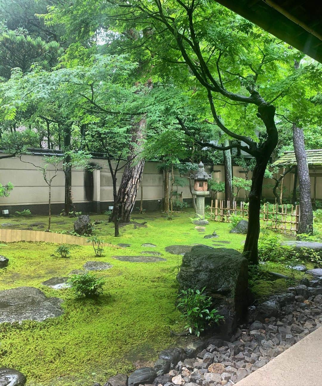 田中彩子のグルメインスタ