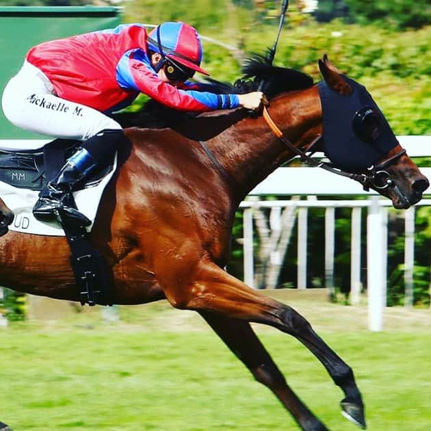 ミカエル・ミシェルさんのインスタグラム写真 - (ミカエル・ミシェルInstagram)「‼️37th Winners🏆‼️ Family victory🥰 St Cloud Raja Luna🏇🏼 A.Spanu G.Leca & P.Piochaud🎩 Well done everyone 👏🏼 @JRAVAN_info @JRA_WorldRacing @nar_keiba @netkeiba @Umabi_Official @umatoku_hochi @AtTheRaces @WHR @TheNYRA @GulfstreamPark #jockeys @LongBallToNoOne @HorseRacing_JPN」7月4日 2時36分 - mickaelle_michel_officiel