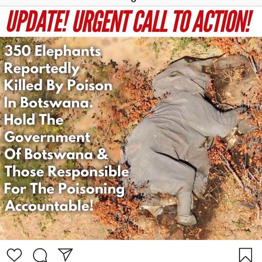 ブリアナ・エヴィガンのインスタグラム：「Well this is just devestating news today. Thank you @katiecleary11 for the post... Please see the next pages guys on how you can help. There’s a toll free # and emails. Get to it!!! Our planet is dying in too many ways. THIS IS A CALL TO ACTION!」