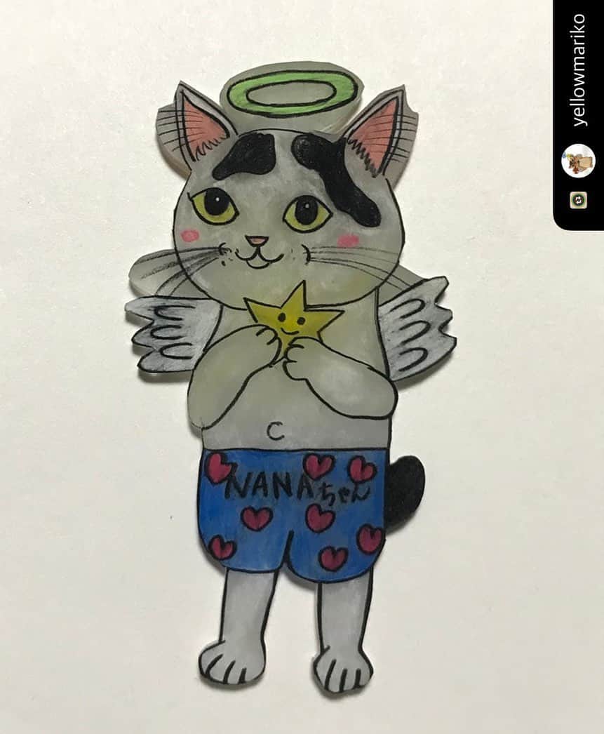 Kachimo Yoshimatsuさんのインスタグラム写真 - (Kachimo YoshimatsuInstagram)「@yellowmariko さんが、天使のナナクロをプラ板で作ってくれました。ありがとうございます。#ナナクロの絵 #nanakuro #うちの猫ら #猫 #ねこ #cat #ネコ #catstagram #ネコ部 http://kachimo.exblog.jp  #Repost with @Repostlyapp @yellowmariko kachimoさん ナオさん　ご夫婦の飼われていた ナナクロちゃんが最近亡くなりました。  外猫さんからお家にお迎えされて 皆のアイドルでした❤️💕  下手くそながらプラバンにさせていただきました。 天国でも　みんなのアイドルですね❤️ いつも元気をもらっていました。 ライブ配信もインスタの写真も 本当に可愛かったです。  ありがとう🎶🎶🎶  #kachimo さん#ナナクロ#ねこ  #プラバン」7月4日 4時40分 - kachimo