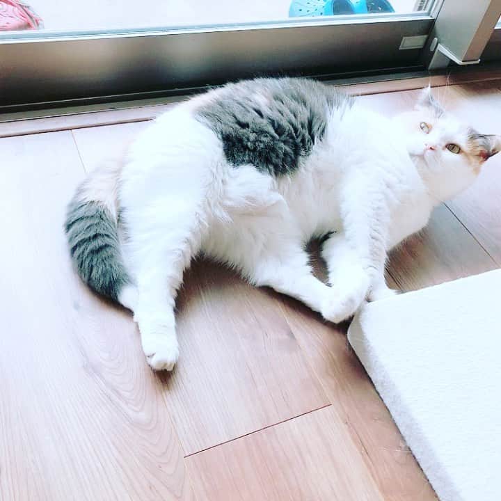 杏子のインスタグラム