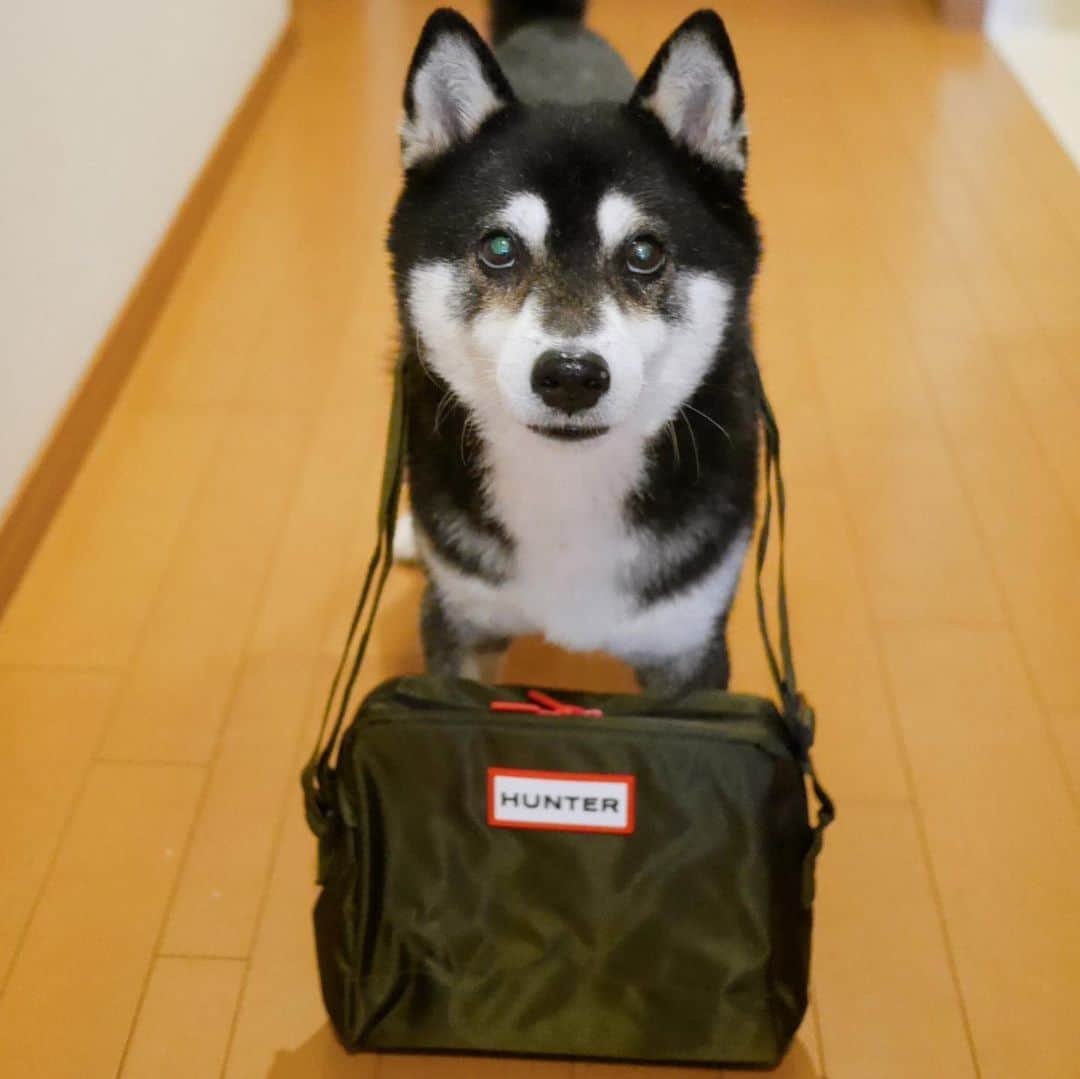 くろのインスタグラム