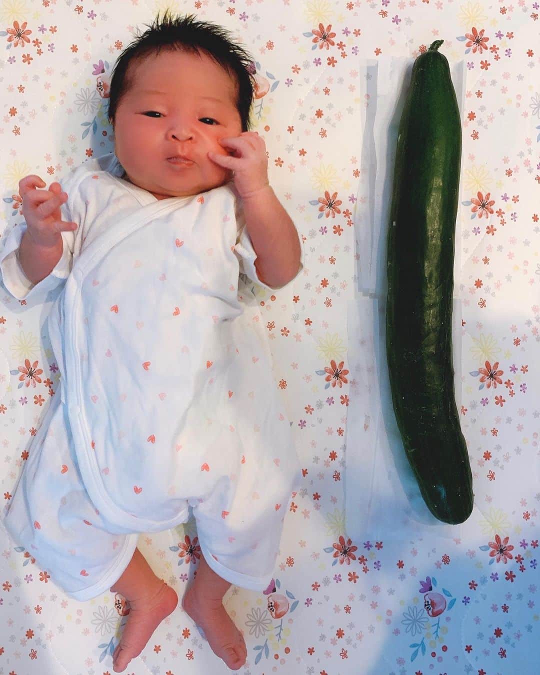 原田良也さんのインスタグラム写真 - (原田良也Instagram)「ウチの娘が小さいんじゃないんです。 奥さんの実家で採れたキュウリが大きすぎるんです。 #赤ちゃん #ベイビー #デカすぎるキュウリ」7月4日 19時16分 - irasshassee