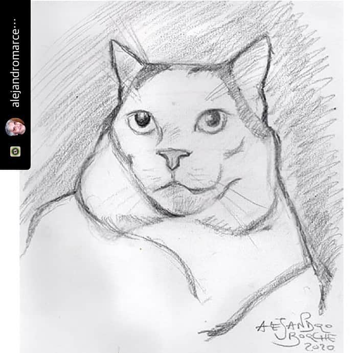 Kachimo Yoshimatsuさんのインスタグラム写真 - (Kachimo YoshimatsuInstagram)「ウルグアイの　@alejandromarcelo12  さんが、ナナクロを描いてくれました。 ありがとうございます。  @Alejandromarcelo12 from Uruguay drew Nanakuro.  Thank you very much.  #うちの猫ら #nanakuro #ナナクロの絵　#猫 #ねこ #cat #ネコ #catstagram #ネコ部 http://kachimo.exblog.jp」7月4日 19時27分 - kachimo