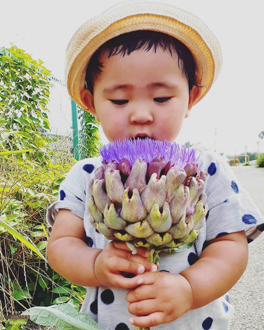 コドモノ！写真部のインスタグラム