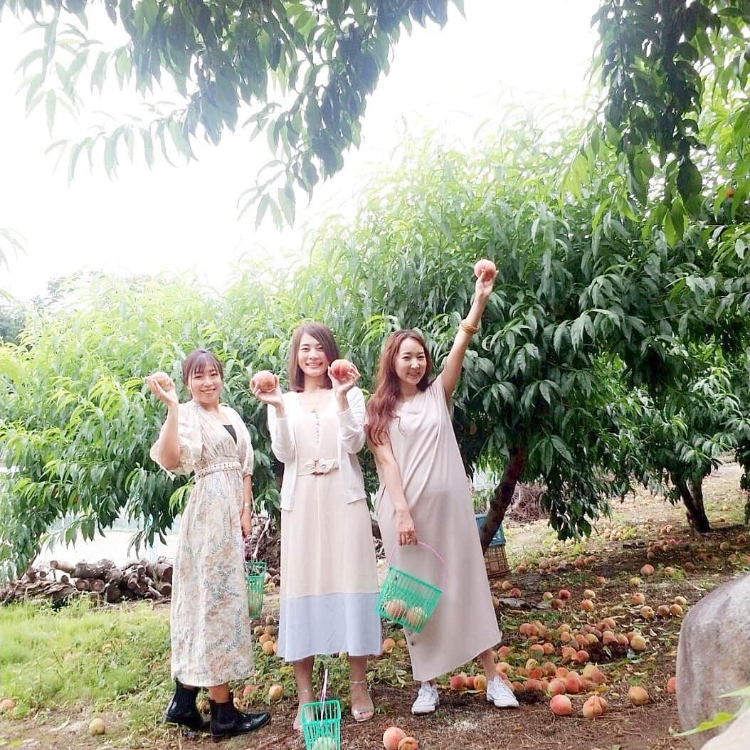 能美黎子さんのインスタグラム写真 - (能美黎子Instagram)「・ 愉快な仲間たちとの 恒例の桃狩り。 @norikomonji @chika.0125 ・ 毎年お伺いしている “丸山フルーツ農園”へ。 ・ 大好きな桃を食べられて幸せ気分。 久しぶりにドライブもできて楽しかったなぁ。 ・ 束の間の休日。 2人ともいつもありがとう。 ・ 次はシャインマスカットの時期に いけるかなぁ(^-^) ・ #桃狩り #桃 #山梨県 #この季節がやってきた #peach #フルーツ #フルーツ狩り #丸山フルーツ農園 #美味しい #おすすめ #山梨 #フルーツ大好き #夏 #summer #愉快な仲間たち #もも #日帰り旅行 #夏の思い出 #夏コーデ #ファインダー越しの私の世界 #日帰り女子旅 #タビジョ #旅ジョ #ダレカニミセタイケシキ #おすすめスポット#2020 #コロナに負けるな #休日の過ごし方 #休日コーデ #休日の楽しみ」7月4日 19時59分 - reikonohmi