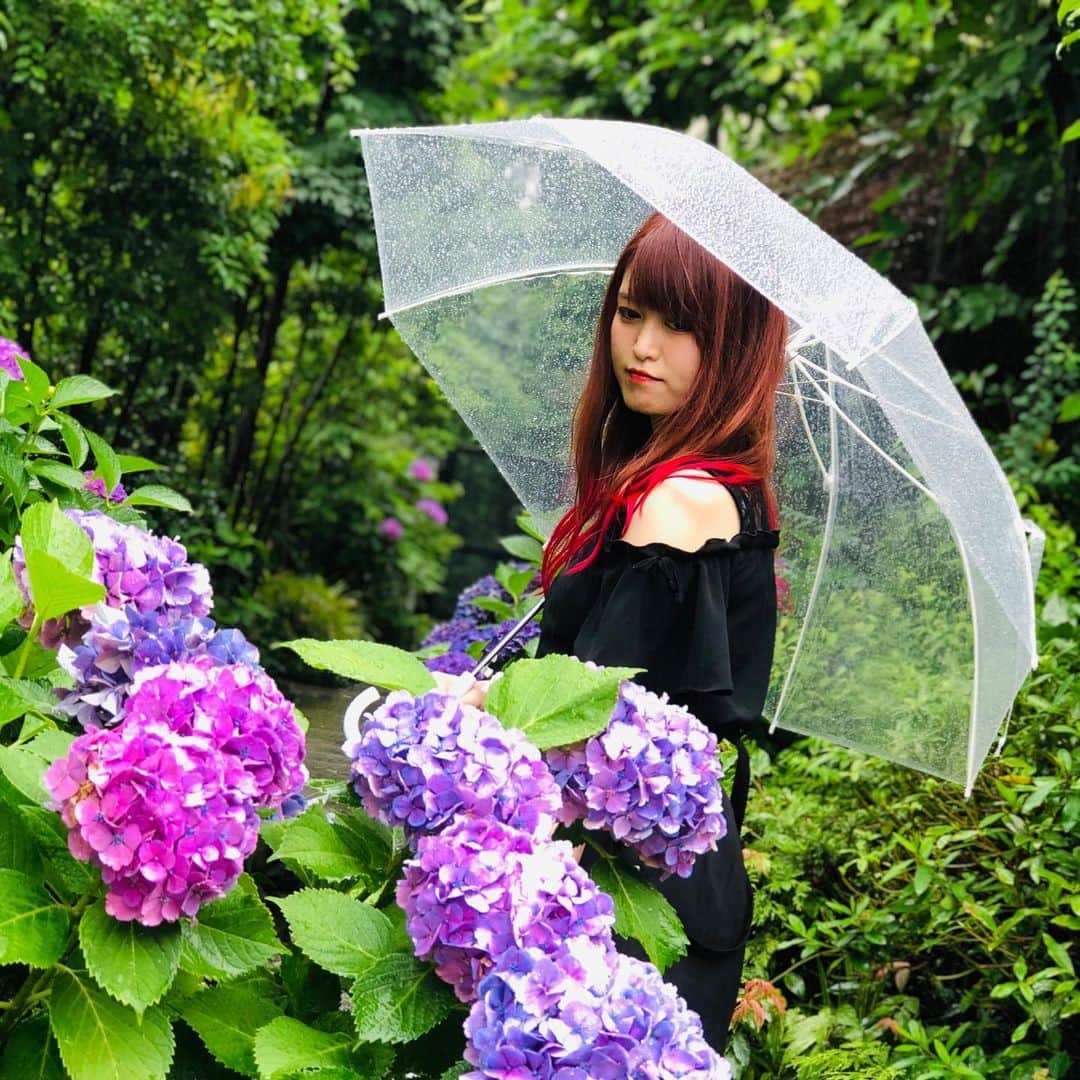 入江綾乃のインスタグラム：「. . . . 紫陽花 . . . #あじさい #紫陽花 #アジサイ #白山 #神社 #声優 #俳優 #アクトレスガールズ #カメラ #撮影モデル #被写体 #ファインダー越しの私の世界 #ファッション #お洒落さんと繋がりたい #写真撮ってる人と繋がりたい #love #instagood #photooftheday #fashion #beauty #happy #cute #selfie #follow #camera #photography #photo #prowrestling #instalike」