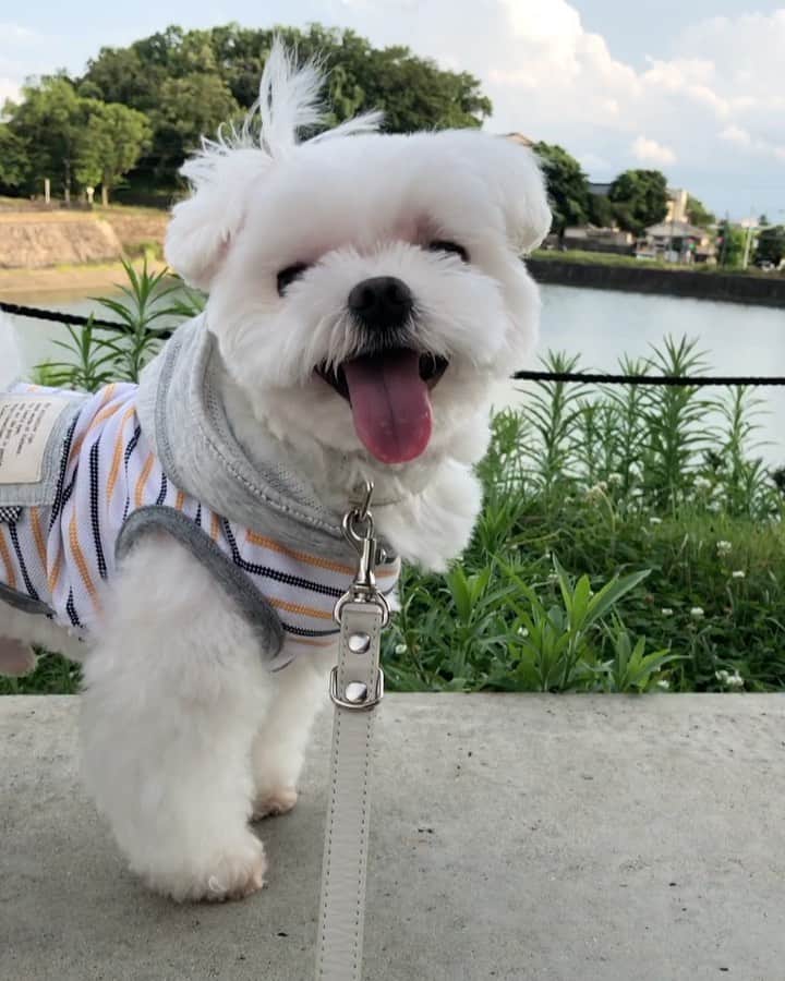 おかゆ & おもちのグルメインスタ