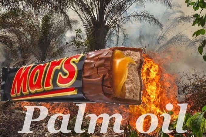 OFI Australiaさんのインスタグラム写真 - (OFI AustraliaInstagram)「Mars bars contain palm oil 😢 _________________________________________ 🦧 OFIA Founder: Kobe Steele kobe@ofiaustralia.com  OFIA Patron: Dr Birute Galdikas @drbirute @orangutanfoundationintl @orangutan.canada www.orangutanfoundation.org.au 🦧 🧡 🦧 #orangutan #orphan #rescue #rehabilitate #release #BornToBeWild #Borneo #Indonesia #CampLeakey #orangutans #savetheorangutans #sayNOtopalmoil #palmoil #deforestation #destruction #rainforest #instagood #photooftheday #environment #nature #instanature #endangeredspecies #criticallyendangered #wildlife #orangutanfoundationintl #ofi #drbirute #ofiaustralia #FosterAnOrangutanToday.」7月4日 11時31分 - ofi_australia