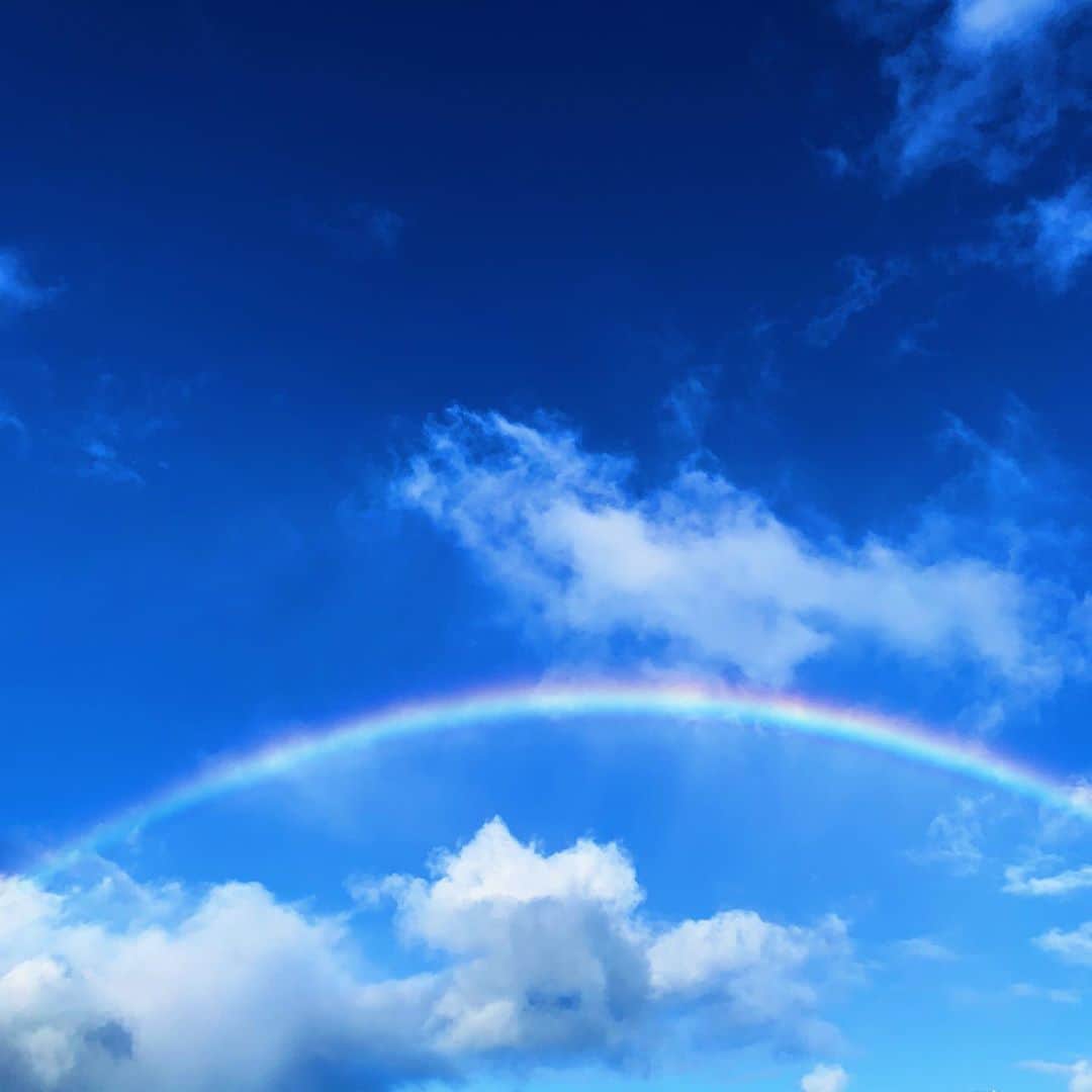アリッサ ウーテンのインスタグラム：「Love them 🌈」