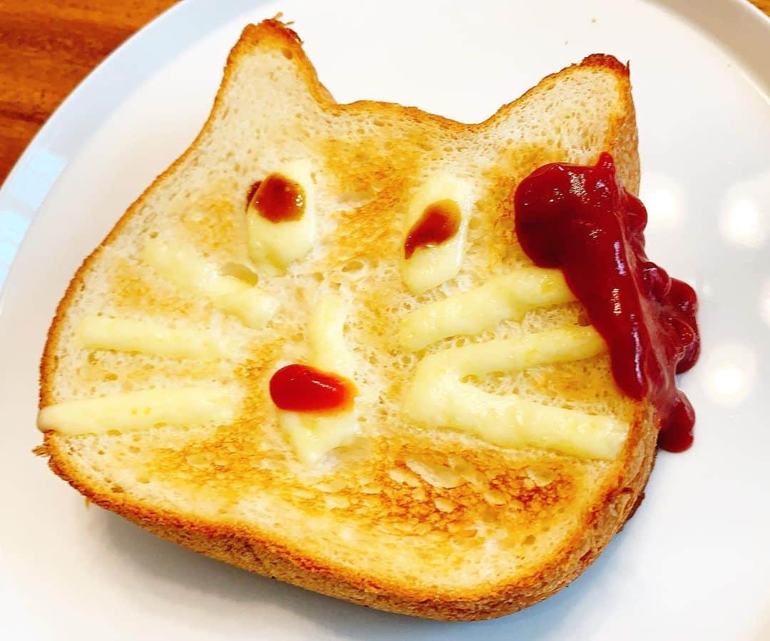 金子貴俊のインスタグラム：「#ねこねこ食パン  これはダメだ🙅‍♂️」