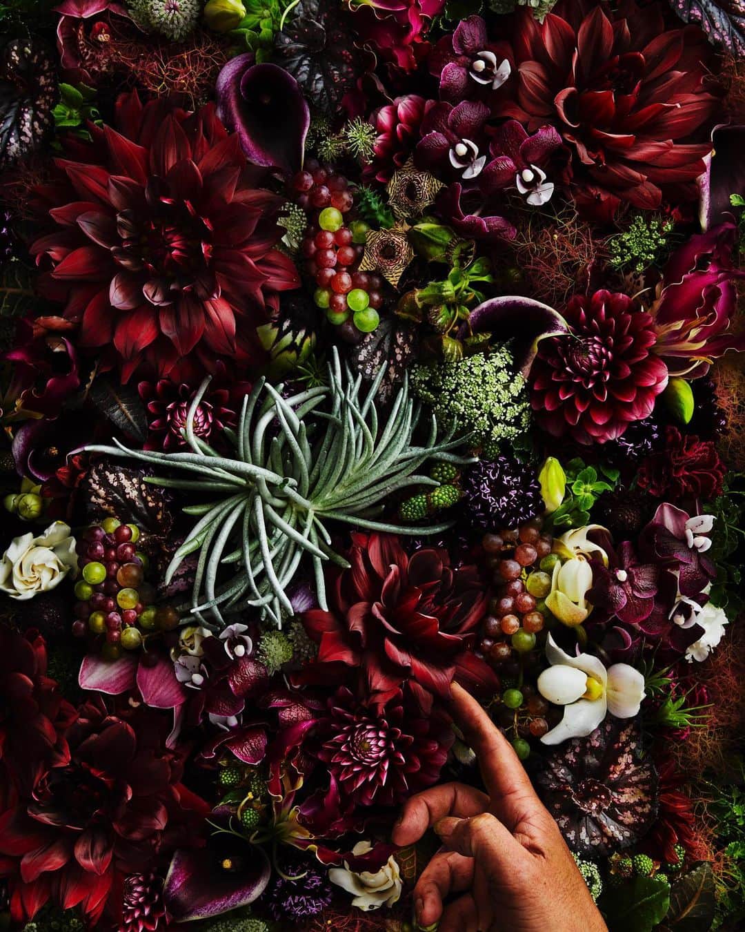 東信のインスタグラム：「Flowers #amkk #amkkproject #makotoazuma #azumamakoto #東信花樹研究所 #東信 #jardinsdesfleurs #shiinokishunsuke #flowerart #flower #flowers」