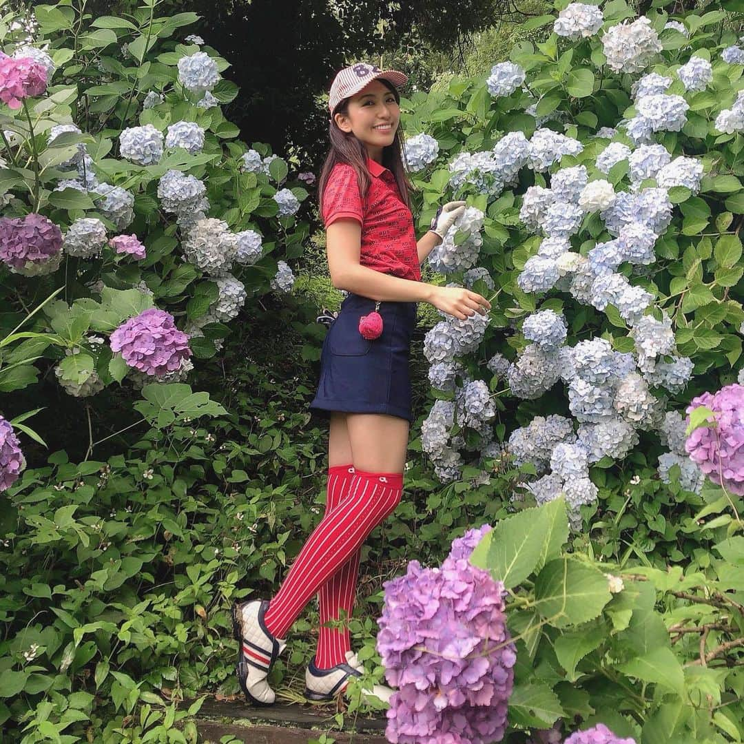 mimiさんのインスタグラム写真 - (mimiInstagram)「この日のゴルフコーデは RED × NAVY でまとめてみたよ☺️❤️ 好きな花トップ5に入る 紫陽花☺️❤️ ゴルフ場に紫陽花ロードがあったよ🥰 ・ #ゴルフ女子 #ゴルフ女子コーデ #アクアラインゴルフクラブ #golfgirl #golflife #golfstagram #japanesegirl #model #ゴルフ大好き #instagolf #スポーツ女子 #골프 #모델 #ひよっこにゃん  #ゴルフコーデ #ゴルフファッション #ゴルフ好きと繋がりたい #夏ゴルフ #夏ゴルフコーデ #エフィカス #アルチビオ #キャロウェイアパレル #andperse #紫陽花 #アンパスィ#紫陽花ロード」7月4日 13時58分 - chan.mi3