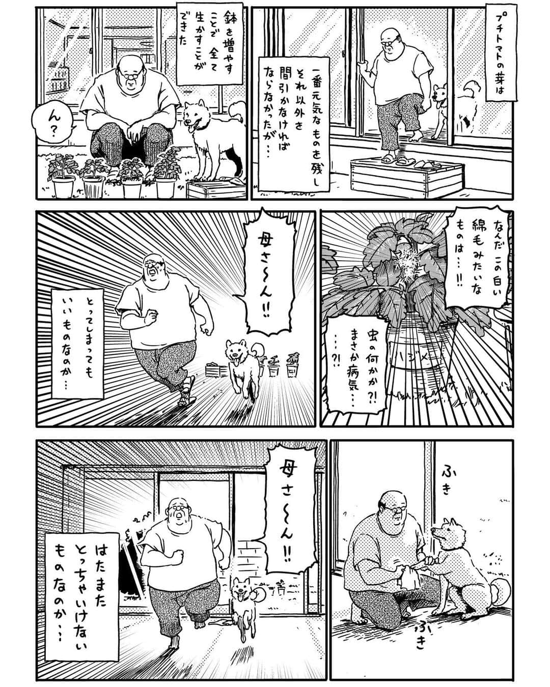 サラリーマン山崎シゲルのインスタグラム