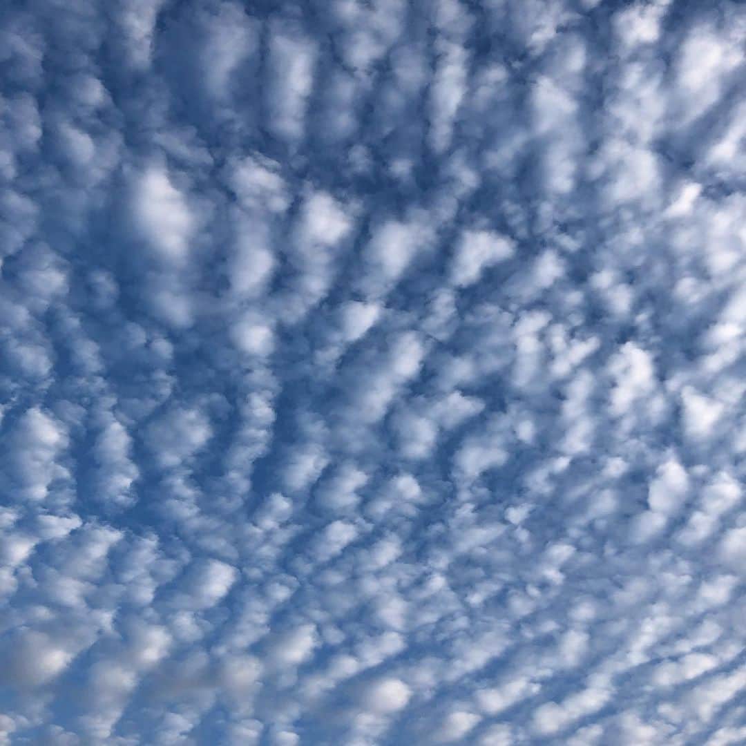 英智さんのインスタグラム写真 - (英智Instagram)「#うろこ雲 #鱗雲 #ウロコ雲な #龍のお腹 #龍の背中 #うろこ雲好き #うろこ雲一番好き #嬉しい楽しい大好き」7月4日 20時30分 - hidenorikuramoto