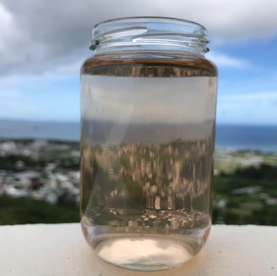 MOOMINさんのインスタグラム写真 - (MOOMINInstagram)「月桃茶、ポットに入れっぱなし、６日目、 まだまだ味も香りもしっかり感じれます。  なんだか視力が良くなりました。 ポリフェノールのおかげかな？  #月桃 #天然 #沖縄 #手作り #無農薬 #無除草剤」7月4日 15時18分 - singermoomin