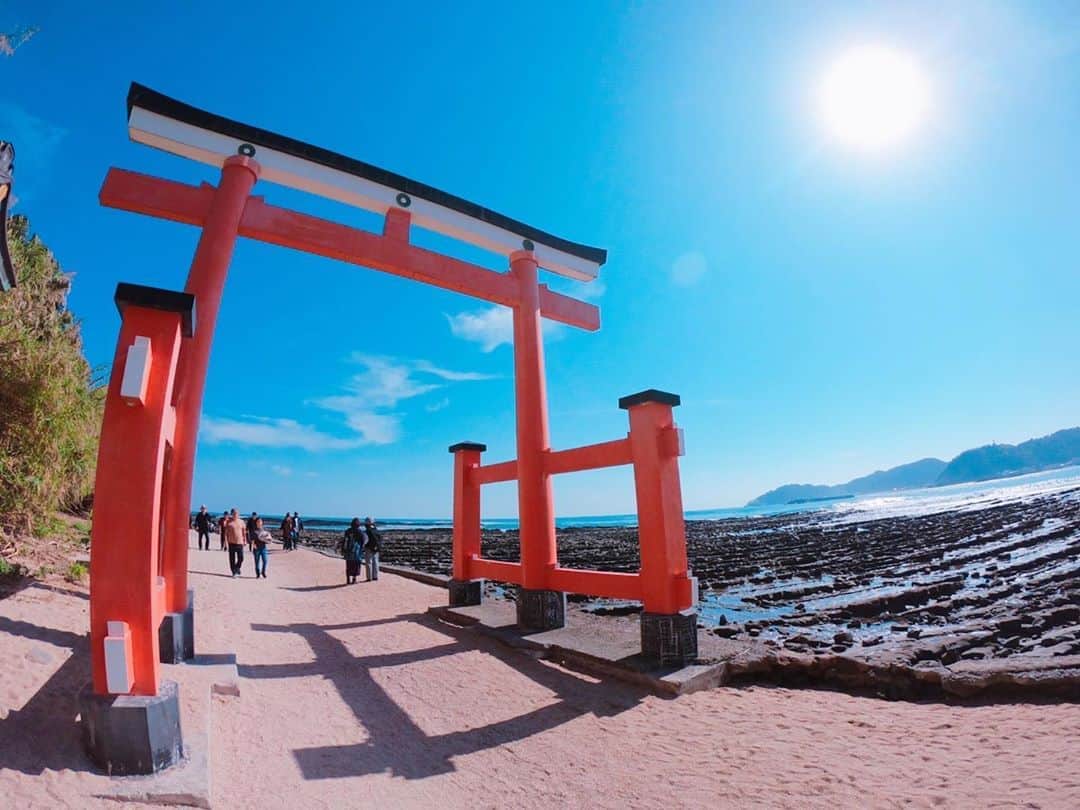 MASA（BRIDGET）さんのインスタグラム写真 - (MASA（BRIDGET）Instagram)「この日の青島神社は最高だったな🏝✨  #bridgetmasa」7月4日 15時38分 - bridget_masa