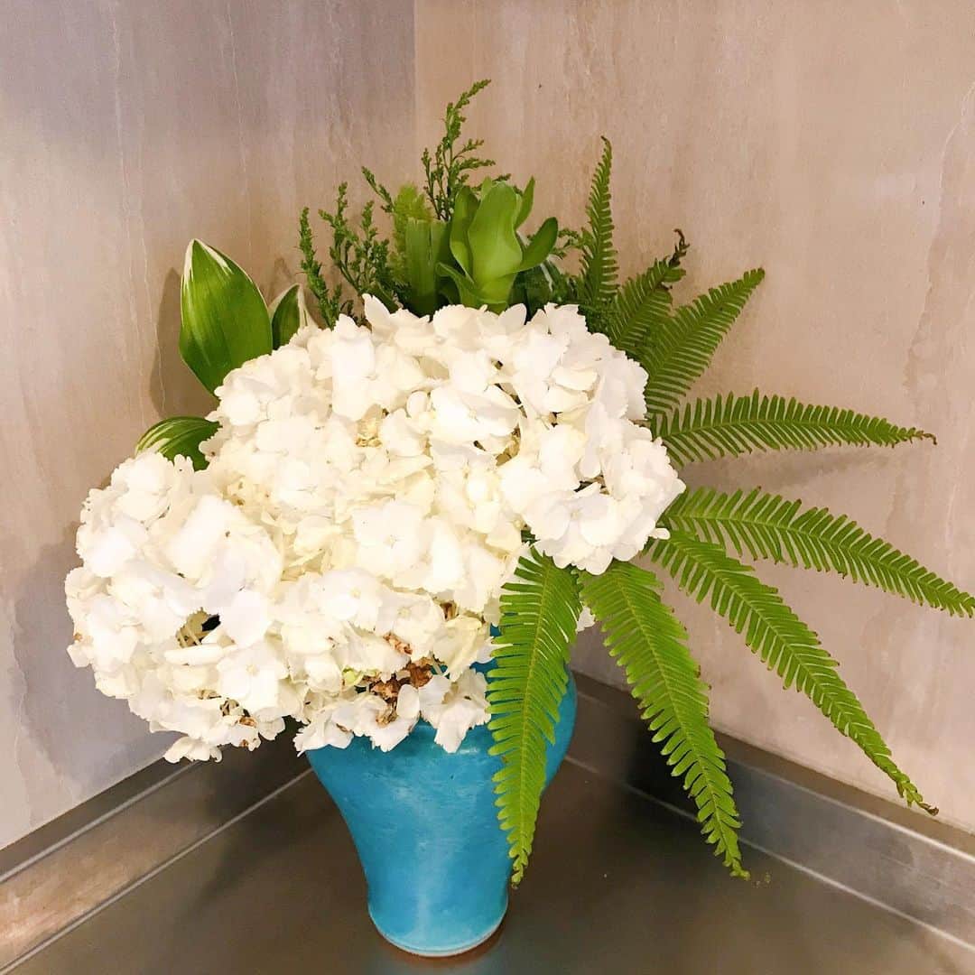 福田葉子さんのインスタグラム写真 - (福田葉子Instagram)「家中を緑化しようと画策中。来週には大量の鉢が運び込まれる予定…。 黄色い薔薇、好きです。あじさいは水盤に浮かべて最後まで楽しみたい。元気な白あじさいは夏っぽくトロピカルMIX！無印の壁にかけられるグリーン、すくすく育ってます。当分、旅や出張もなさそうだし植物を育てたい気持ちがふつふつと。 そんな感じの今週のお花。 #flowers #green #rose #hydrangea #お花　#緑化　#植物　#花のある暮らし #無印良品 #壁にかけられる観葉植物」7月4日 15時42分 - yoyoyokoko