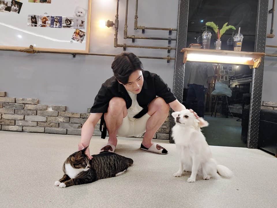ジノンのインスタグラム：「#펫트라슈 즐거운 촬영 이였습니다🙏저는 어떤 모습 이였을까요..방송으로 확인하실수 있습니다👍💚언제 방송 될지는 아직 저도 몰라요😔그러니 매주 본방사수 해주세요🤘」