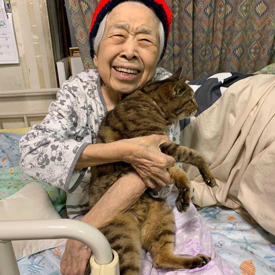 Kachimo Yoshimatsuさんのインスタグラム写真 - (Kachimo YoshimatsuInstagram)「バーバとココア Mother & Cocoa 今日も一緒。 Together today  #うちの猫ら #バーバと猫 #cocoa #バーバ #猫 #ねこ #cat #ネコ #catstagram #ネコ部 http://kachimo.exblog.jp」7月4日 17時23分 - kachimo