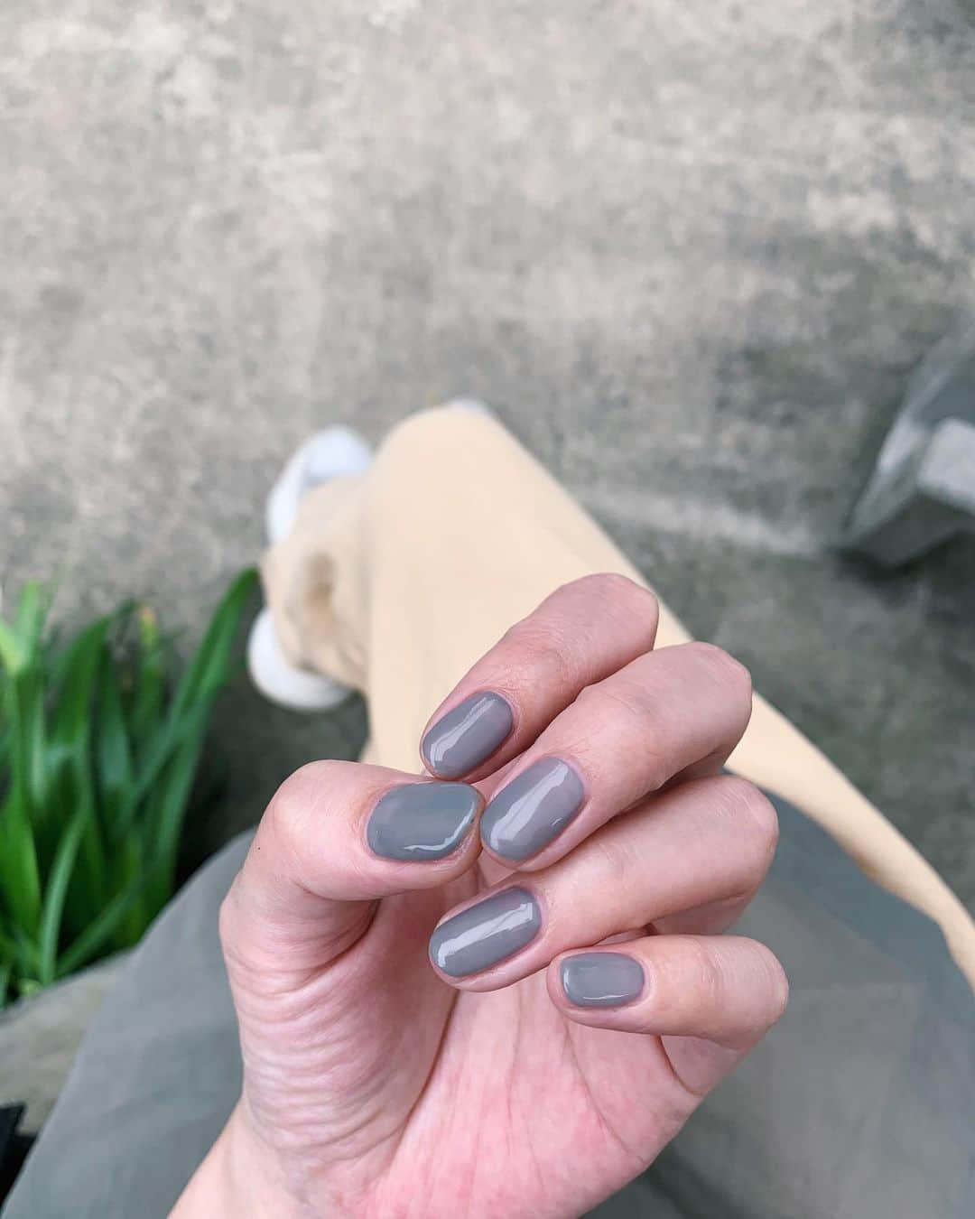 Shiho Sasakiのインスタグラム：「new nail💅 グレーにクリアを混ぜてもらいました🐭 夏になると色物のお洋服増える機会が増えるから ネイルはニュアンスカラーで浮かないようにしてます☝️ #nail」