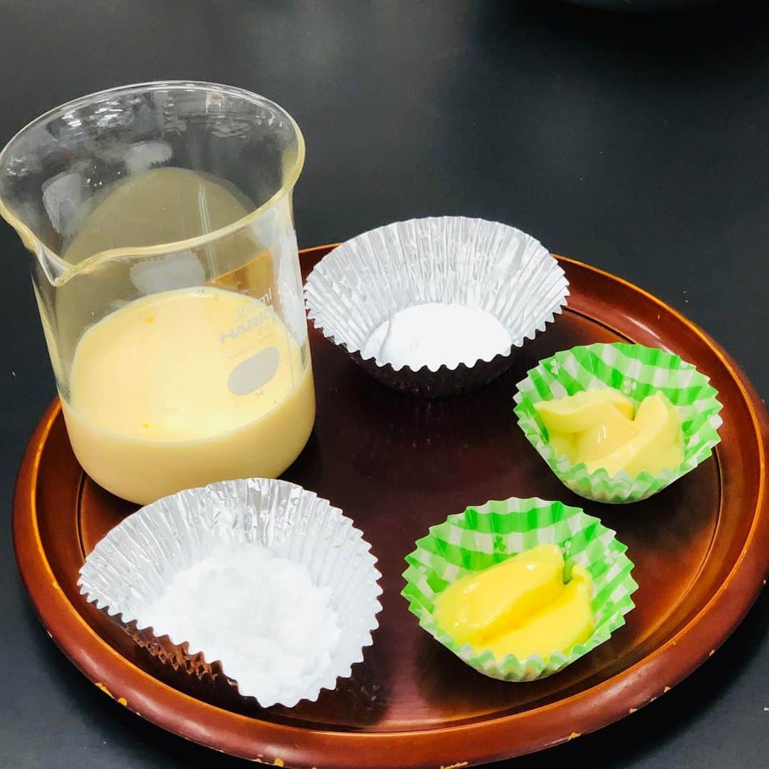 東京バイオテクノロジー専門学校さんのインスタグラム写真 - (東京バイオテクノロジー専門学校Instagram)「‪食品開発コースの実習で、低糖質甘味料を使用したスイーツ（プリン🍮）の開発を行いました‼️‬ ‪通常プリンと低糖質プリンの完成系を比較すると色、照りの違いをお分かりいただけると思います✨‬ ちょっとした違いで、製品に大きな違いが産まれる事があるのも、食品開発の面白さでもあるのです🤗‼️ ‪#食品開発 #プリン #スイーツ #bio #technology #東京 #バイオテクノロジー #専門学校 #甘味料 ‬」7月4日 18時01分 - tokyobio