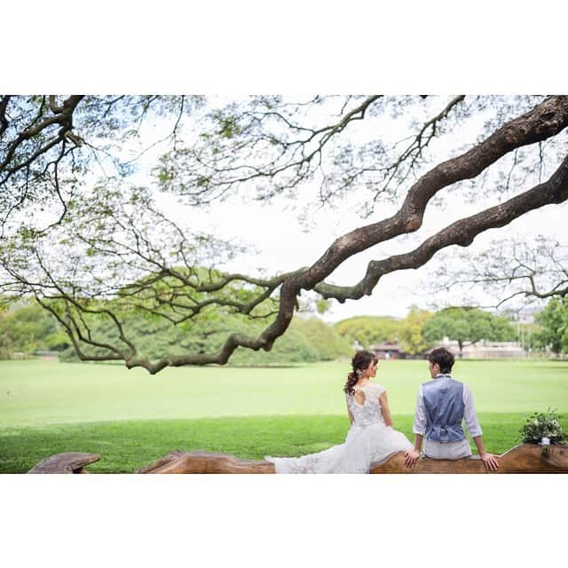 ハワイフォトウェディングのCheers Weddingさんのインスタグラム写真 - (ハワイフォトウェディングのCheers WeddingInstagram)「ハワイのフォトツアーならCheers Wedding ﻿ ﻿ ハワイウェディング専門のプロデュース会社だからこそ叶う。﻿ ハワイウェディングフォトツアー🌴﻿ ﻿ ***********************﻿ ﻿ 🌴サマーキャンペーン🌴﻿ 7月31日までのお申込限定✨✨﻿ ﻿ ①スペシャルプラン(衣装ヘアメイク付きビーチ撮影) $100オフ❗($690⇒$590)﻿ ﻿ ②2週間前迄キャンセル可能。﻿ ﻿ ③日程変更料無料﻿ ﻿ ※新規お申込み時限定特典です。 ﻿ ﻿ ※キャンペーンをご利用の際は必ずお申込み時にお伝えください。お申込み後の適用はお受け出来かねます。 ﻿ ﻿ ※他キャンペーンとの併用不可となります。 ﻿ ﻿ *********************** ﻿ 【お問合せ】﻿ https://www.cheerswedding.jp﻿ ☎︎0120-128-828﻿ 平日11:00〜19:00／土日祝10:00〜19:00﻿ ※水曜定休＋隔週木曜定休(2日／16日／30日)﻿ ***********************﻿ ﻿ ▼ウェディングパーク海外﻿ チアーズウェディングで検索﻿ ‭https://foreign.weddingpark.net/agentlist/100063‬/﻿ ﻿ ▼挙式はこちら﻿ @cheers_wedding ﻿ ﻿ #チアーズウエディング﻿ #ハワイウェディング﻿ #フォトウェディング﻿ #リゾートウェディング　﻿ #フォトツアー﻿ #ハワイ旅行﻿ #ハワイ挙式﻿ #ハワイ婚﻿ #cheerswedding﻿ #hawaiiwedding﻿ #日本中のプレ花嫁さんと繋がりたい﻿ #ウェディングニュース﻿ #プレ花嫁　﻿ #卒花嫁﻿ #前撮り　﻿ #後撮り﻿ #ハワイ前撮り ﻿ #ハワイ後撮り﻿ #結婚準備﻿ #ハワイフォトツアー﻿ #ウエディングフォト﻿ #フォトウェディング﻿ #ハワイハネムーン﻿ #ハネムーンフォト﻿ #ウェディングフォト ﻿ #モアナルアガーデン  #この木なんの木  #コロナ結婚式﻿ #コロナ復活﻿ #花嫁応援企画」7月4日 18時33分 - cheers_photowedding