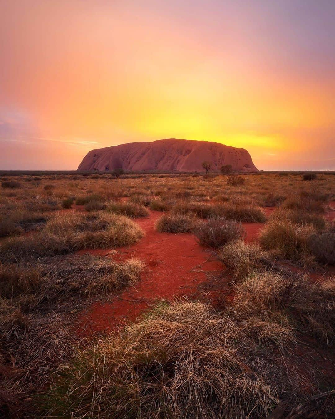 Australiaさんのインスタグラム写真 - (AustraliaInstagram)「We’ve got virtual front row seats to an iconic Red Centre #sunset … and you’re all invited! 🎵 We’re transporting you to the heart of the @NTAustralia to witness @SeeUluru's famed dusk spectacle. Sit back and soak up the epic scenery, with tunes from @SoundsAustralia & @MusicNT’s Bush Bands Program to really get your toes tapping. Head to our Facebook page at 6pm AEST later today to witness the #Uluru magic.  📷 @caitensphoto #seeaustralia #Uluru #northernterritory」7月5日 5時00分 - australia